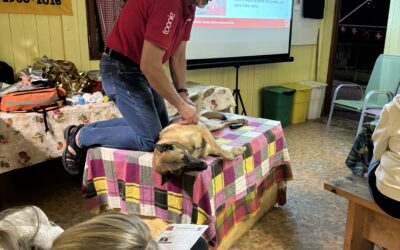 Tecniche di Primo Soccorso